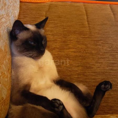 Armen'S B&B เซวาน ภายนอก รูปภาพ