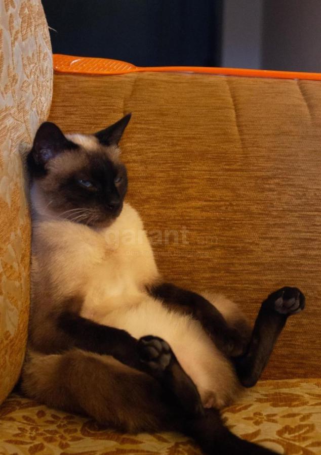 Armen'S B&B เซวาน ภายนอก รูปภาพ